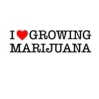 Я люблю выращивать купон на марихуану
