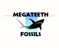 MegaTeeth Coupons