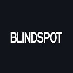 Blind Spot Coupons