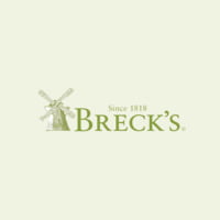 Kupon & Penawaran Promo Breck