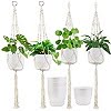 Hanging Planters Coupons